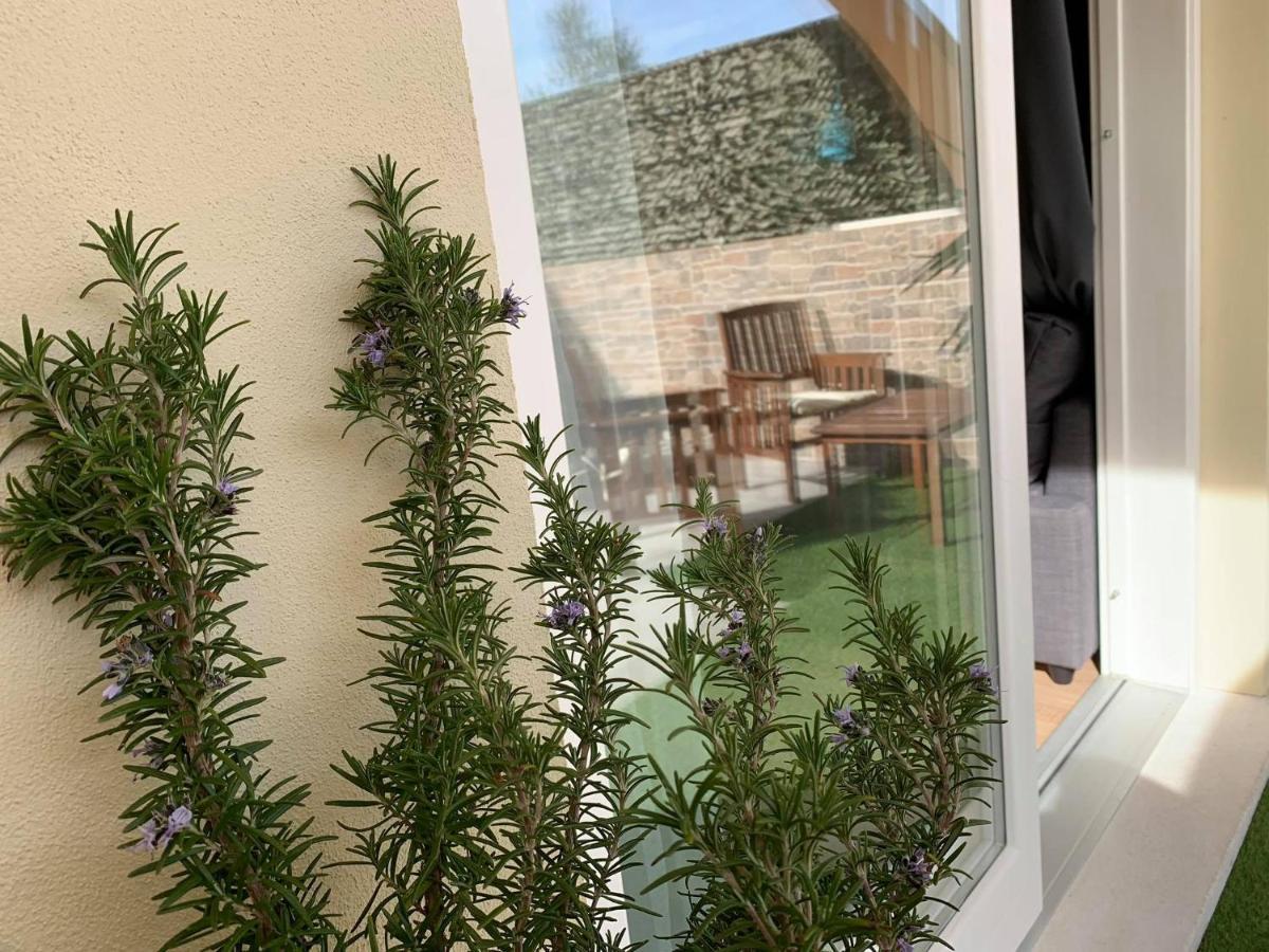 New Alloro Flat Ольбия Экстерьер фото